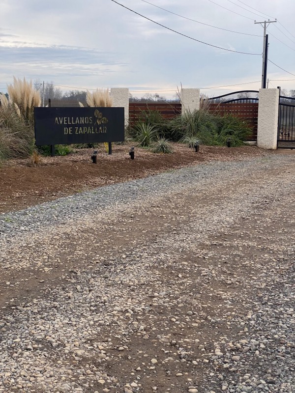 ‼️vendemos‼️ Parcela (Avellanos Zapallar Curico