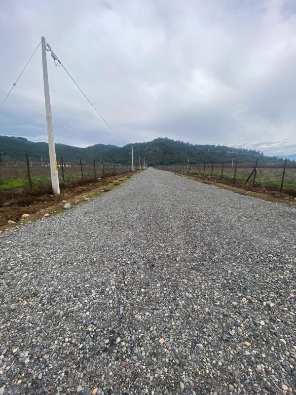 ‼️vendemos‼️ Parcela (Avellanos Zapallar Curico