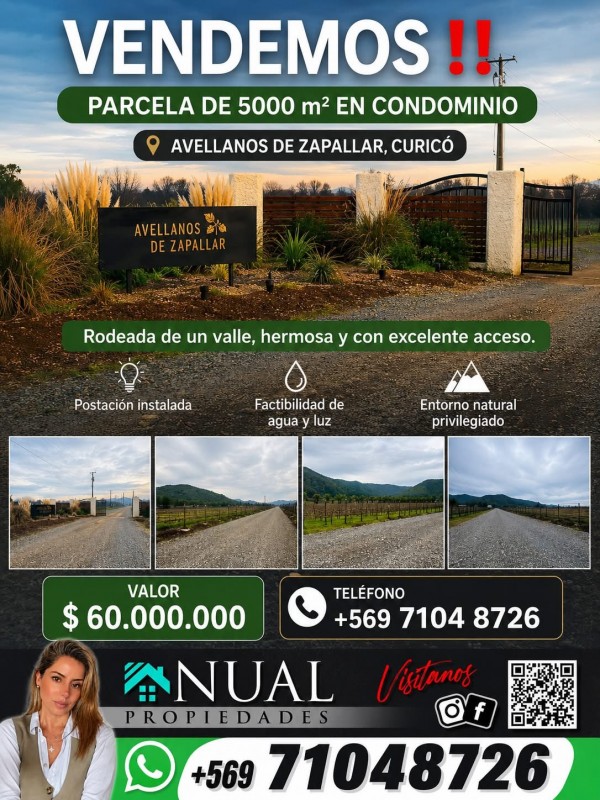 Fotografía de ‼️vendemos‼️ Parcela (Avellanos Zapallar Curico
