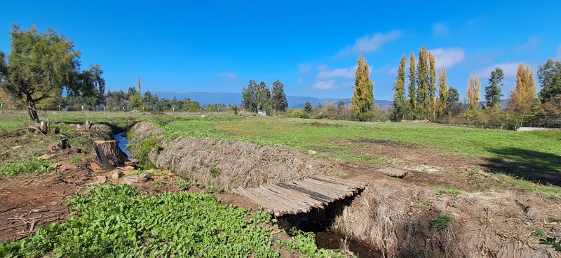 Vendo Hermosa Parcela Sector la Montaña-Teno