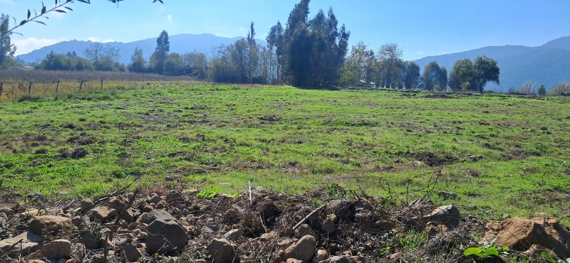 Vendo Hermosa Parcela Sector la Montaña-Teno