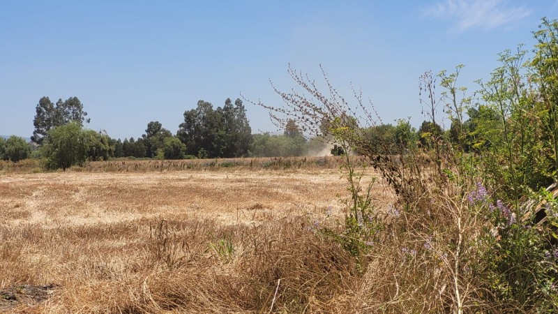 Arriendo Parcela Agrícola en Palmira