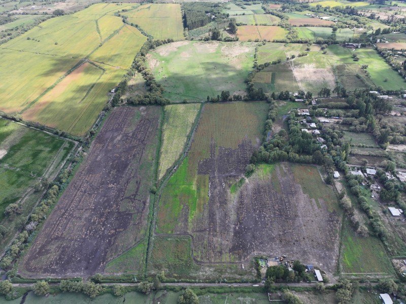Arriendo Parcela Agrícola en Palmira