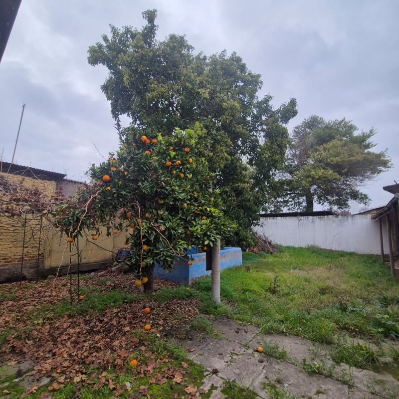 Vendo Propiedad en 6 Norte