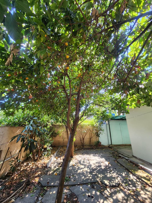 Vendo Casa en Sector la Florida