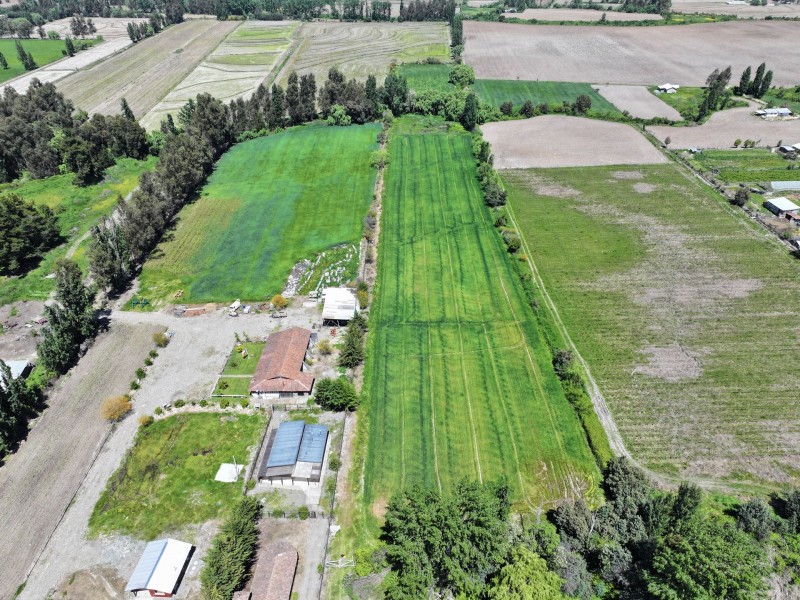 Vendo Terreno en Linares las Toscas