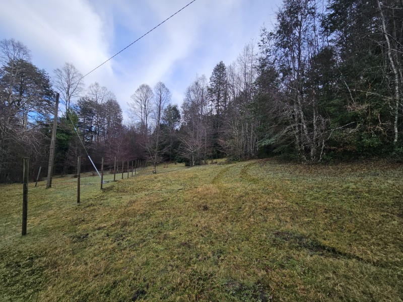 Parcela 7000M2 Villarrica, Rol Propio