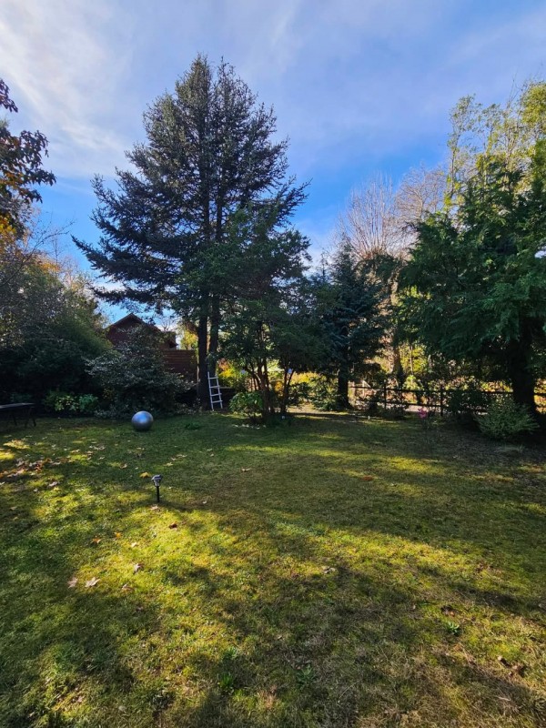 Arriendo Casa y Cabaña , Sector Molco, Cam.villarrica Pucon