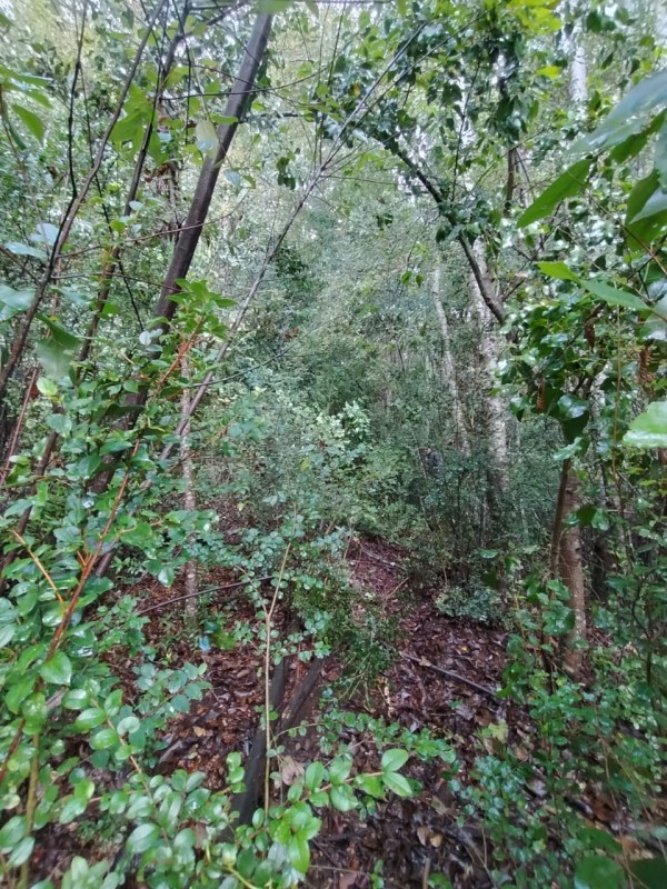 Terreno 18 Hectareas en Huincacara