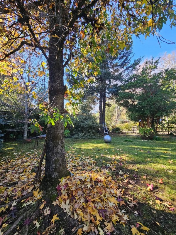 Arriendo Casa y Cabaña , Sector Molco, Cam.villarrica Pucon