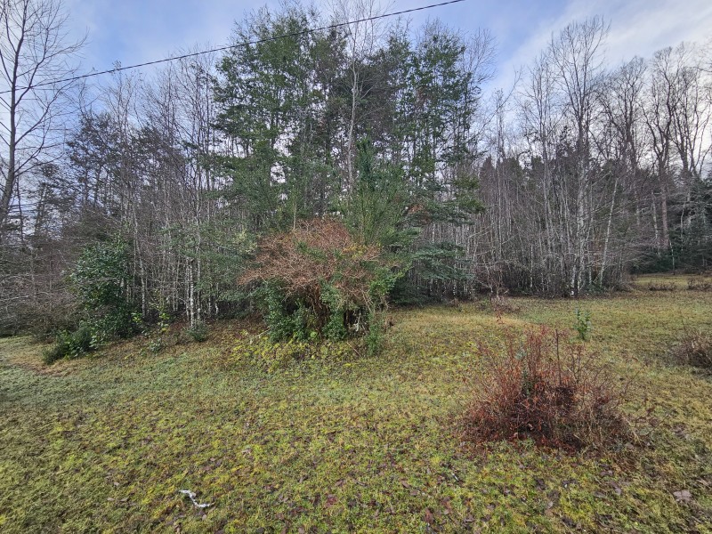 Parcela 7000M2 Villarrica, Rol Propio