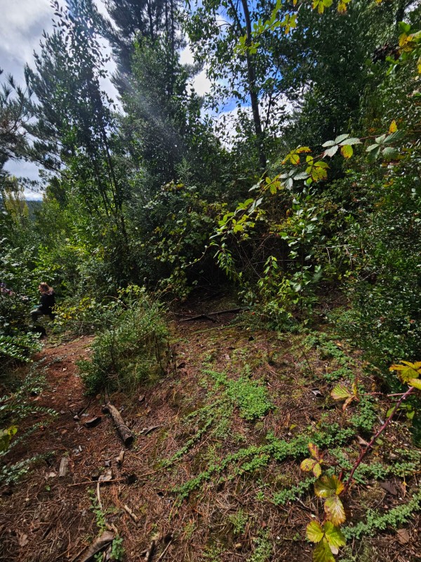 Terreno 18 Hectareas en Huincacara