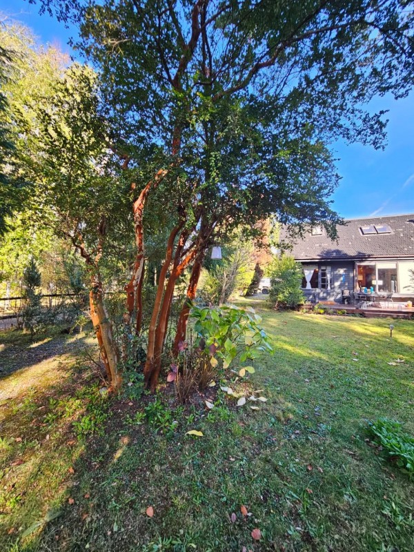 Arriendo Casa y Cabaña , Sector Molco, Cam.villarrica Pucon