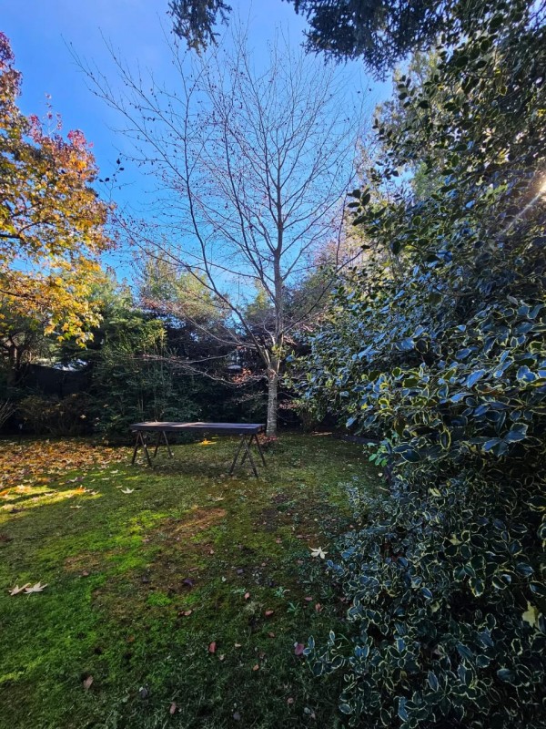 Arriendo Casa y Cabaña , Sector Molco, Cam.villarrica Pucon