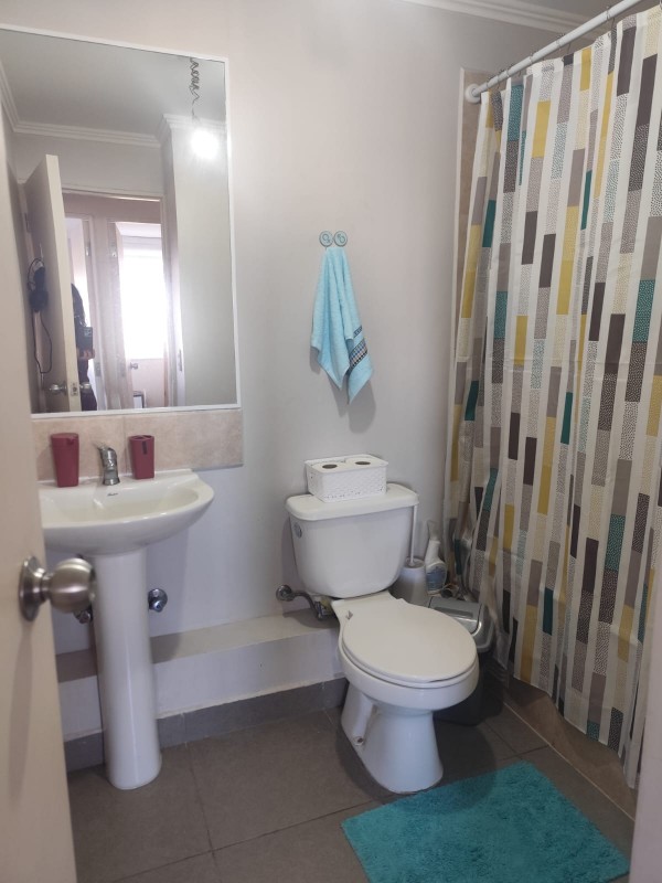 Arriendo Departamento Amoblado Año Corrido