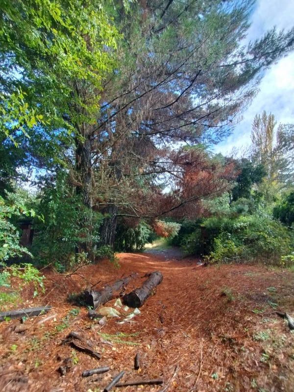 Terreno 18 Hectareas en Huincacara