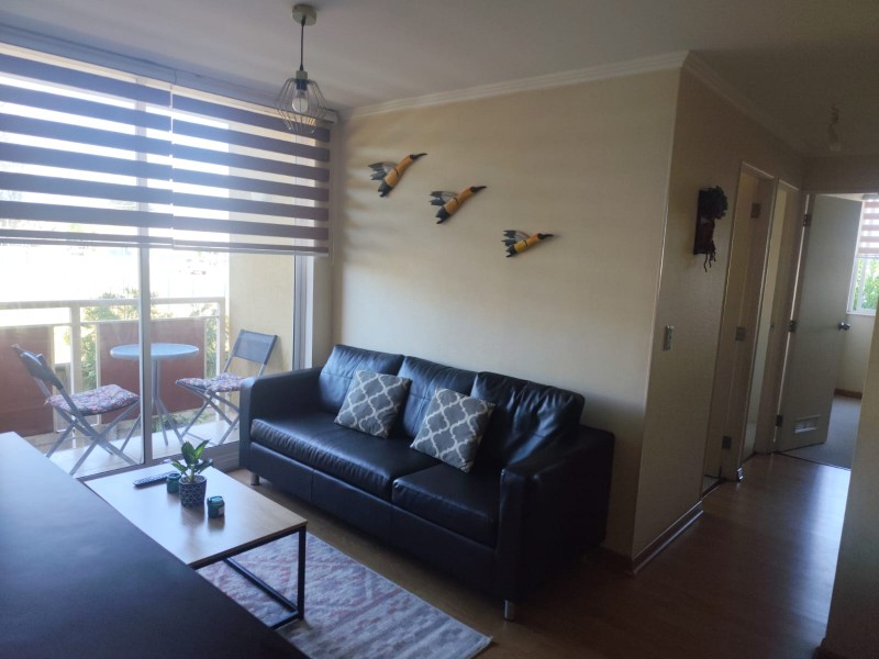 Arriendo Departamento Amoblado Año Corrido