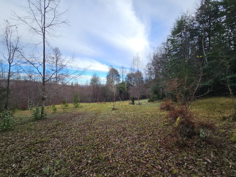Parcela 7000M2 Villarrica, Rol Propio