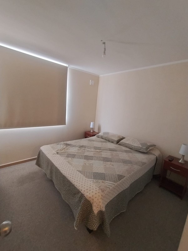 Arriendo Departamento Amoblado Año Corrido