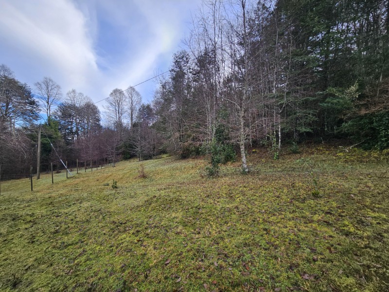 Parcela 7000M2 Villarrica, Rol Propio