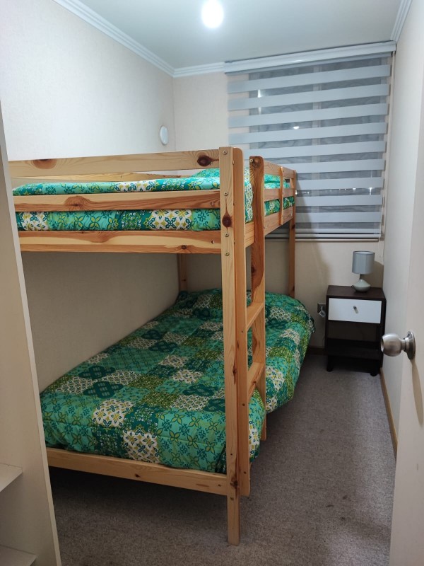 Arriendo Departamento Amoblado Año Corrido