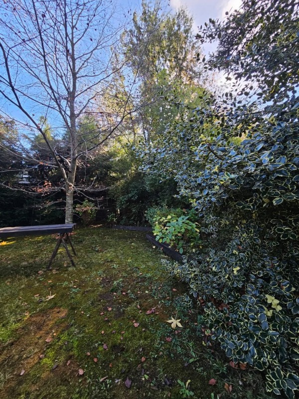 Arriendo Casa y Cabaña , Sector Molco, Cam.villarrica Pucon