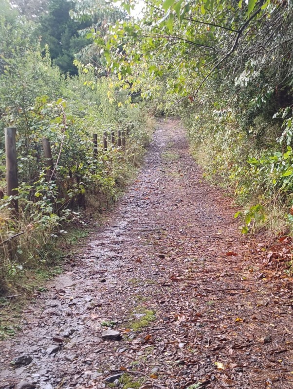 Terreno 18 Hectareas en Huincacara