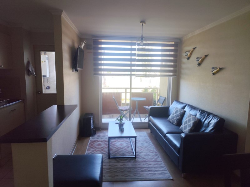 Arriendo Departamento Amoblado Año Corrido