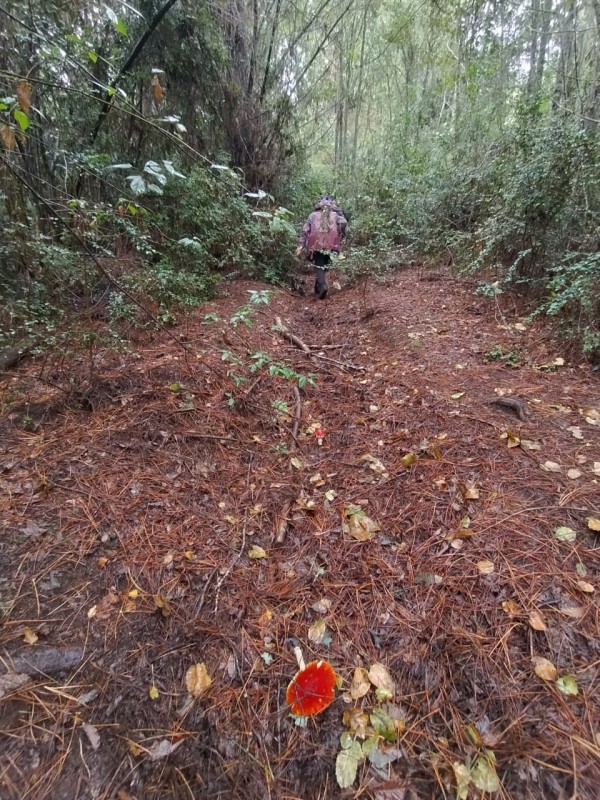 Terreno 18 Hectareas en Huincacara