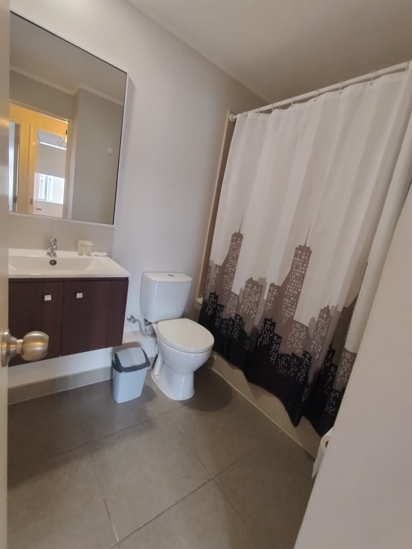 Arriendo Departamento Amoblado Año Corrido