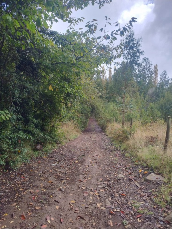 Terreno 18 Hectareas en Huincacara