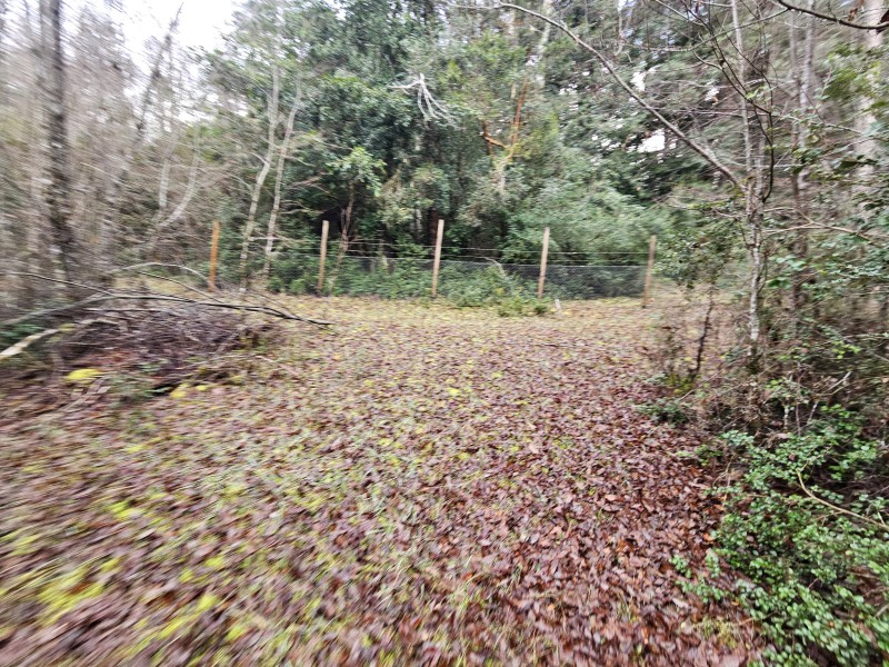Parcela 7000M2 Villarrica, Rol Propio