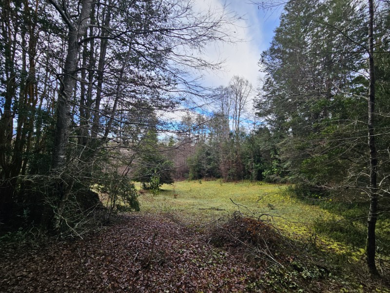Parcela 7000M2 Villarrica, Rol Propio