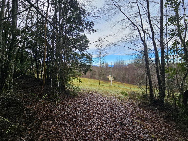 Parcela 7000M2 Villarrica, Rol Propio