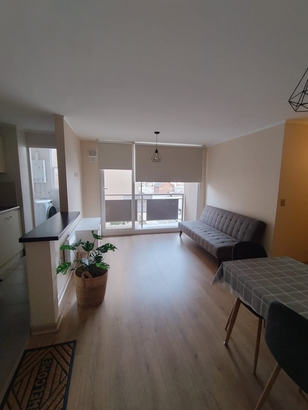 Arriendo Departamento Amoblado Año Corrido