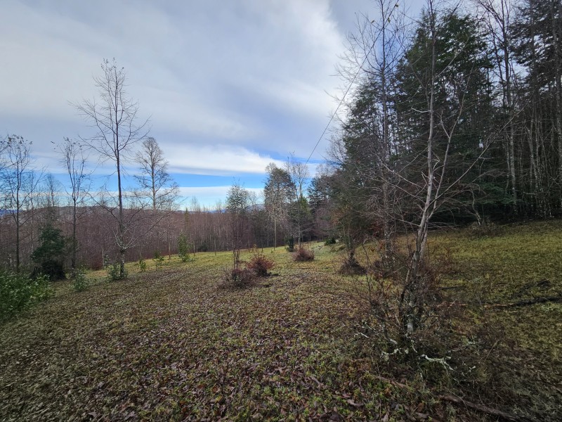 Parcela 7000M2 Villarrica, Rol Propio