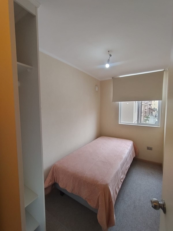 Arriendo Departamento Amoblado Año Corrido