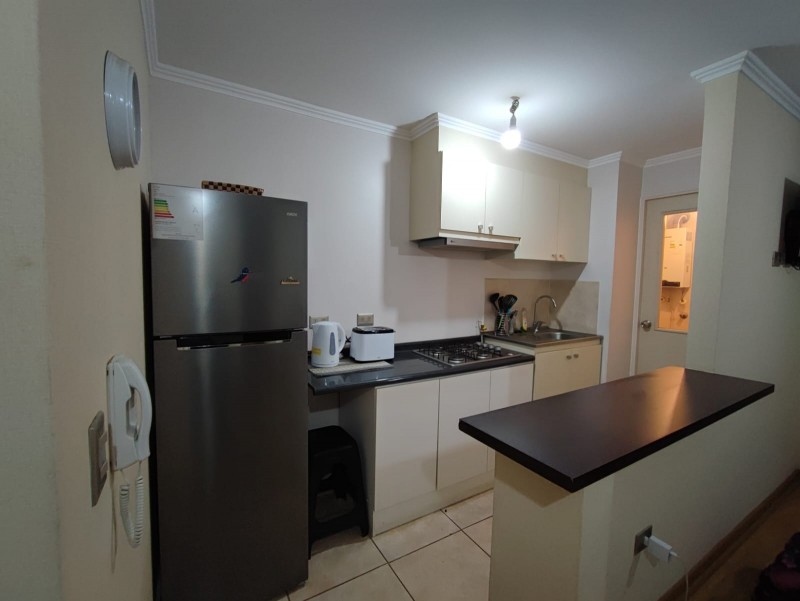 Arriendo Departamento Amoblado Año Corrido