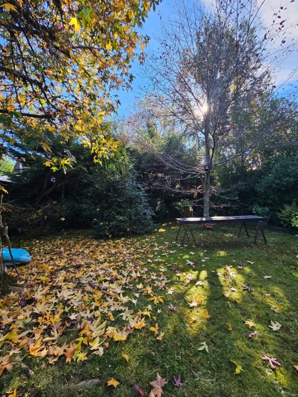 Arriendo Casa y Cabaña , Sector Molco, Cam.villarrica Pucon