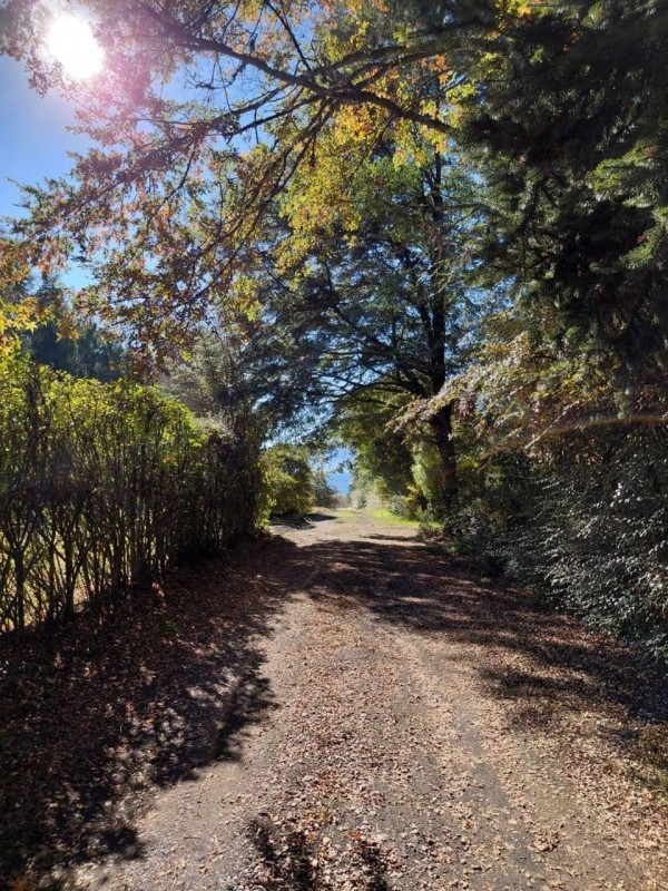 Arriendo Casa y Cabaña , Sector Molco, Cam.villarrica Pucon