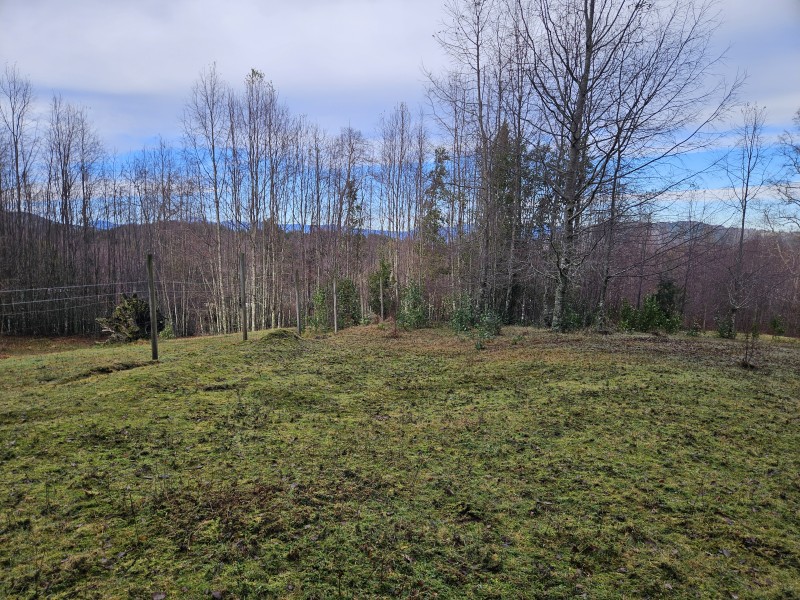 Parcela 7000M2 Villarrica, Rol Propio