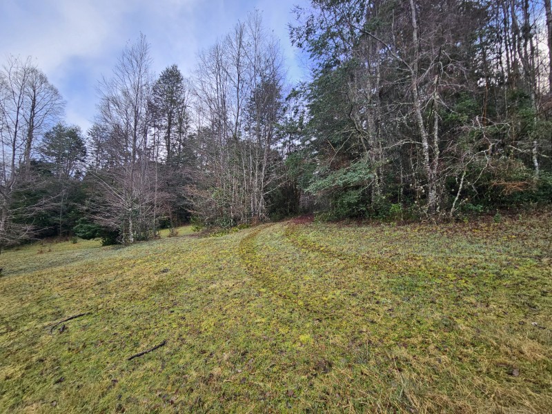 Parcela 7000M2 Villarrica, Rol Propio
