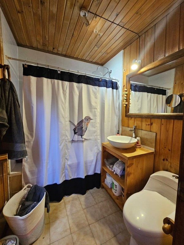 Arriendo Casa y Cabaña , Sector Molco, Cam.villarrica Pucon