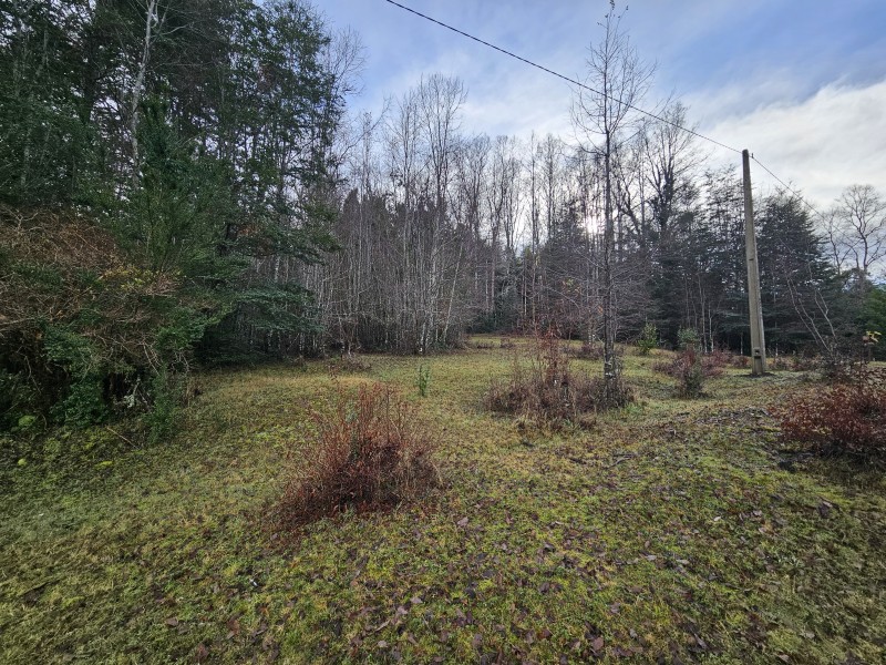 Parcela 7000M2 Villarrica, Rol Propio