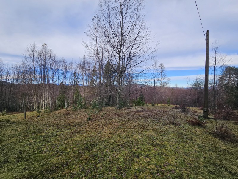 Parcela 7000M2 Villarrica, Rol Propio
