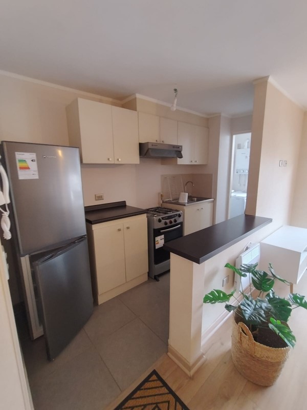 Arriendo Departamento Amoblado Año Corrido