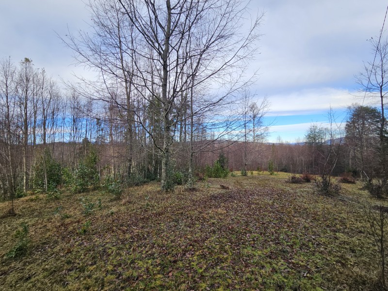 Parcela 7000M2 Villarrica, Rol Propio
