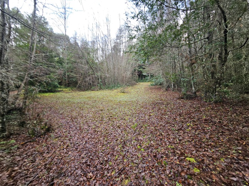 Parcela 7000M2 Villarrica, Rol Propio