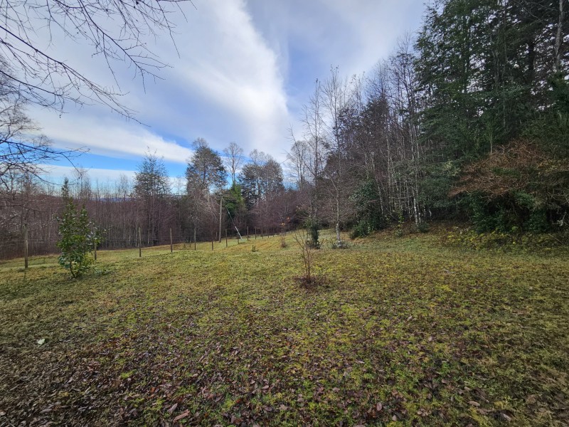 Parcela 7000M2 Villarrica, Rol Propio