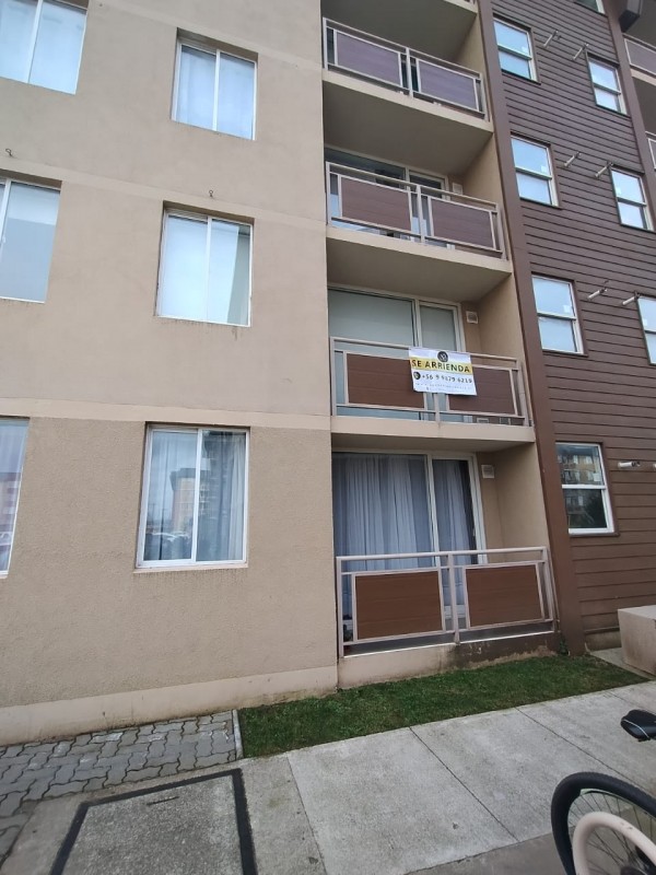 Arriendo Departamento Amoblado Año Corrido